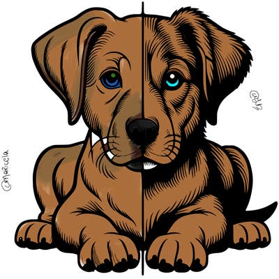 realistic dog split picture