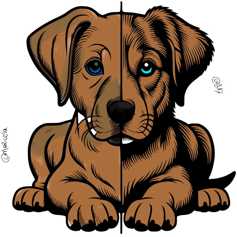 realistic dog split picture