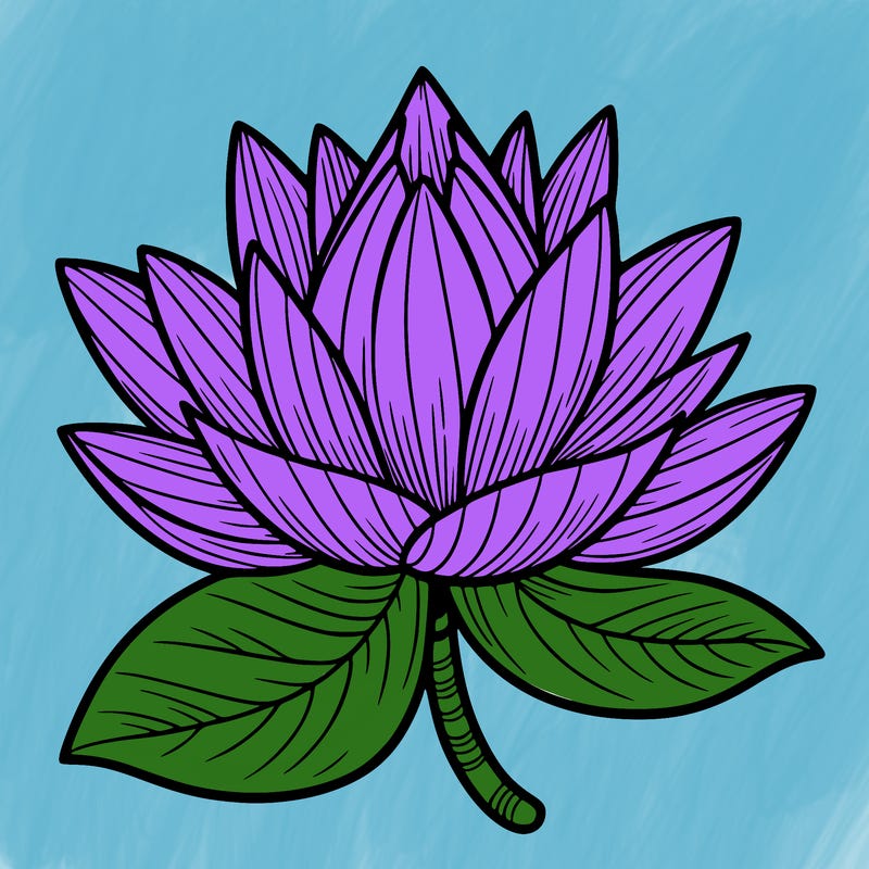 lotus flower