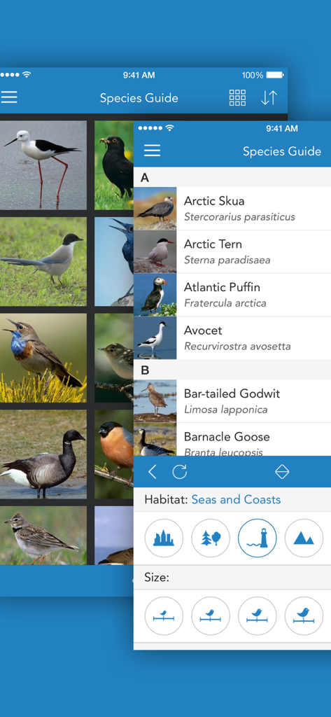 iKnow Birds 2 PRO - Europe - Mobile app screens for bird identification featuring a species guide list and habitat filters