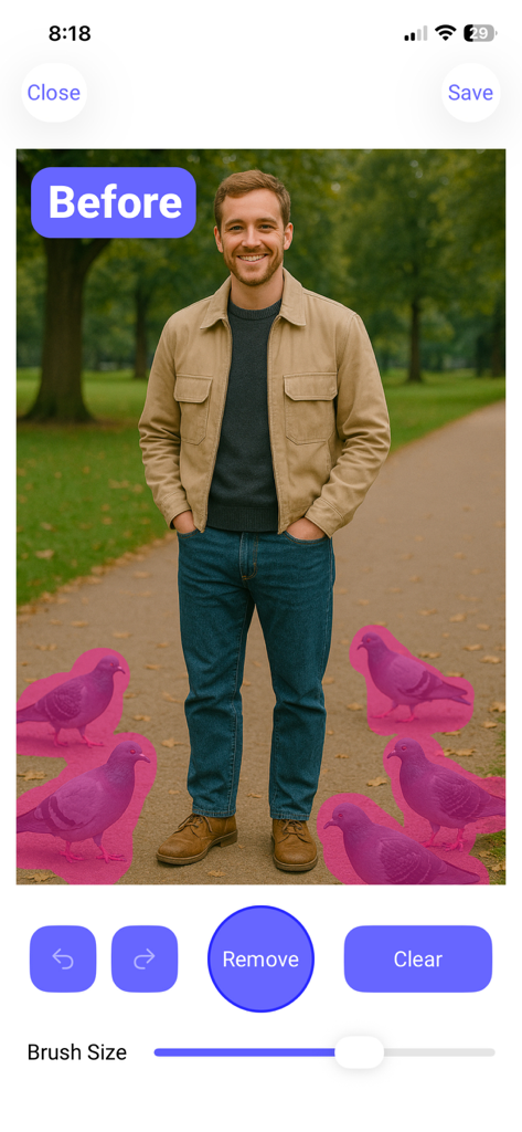 Remove Objects - Remove AI - AI 물체 제거 앱 스크린샷이 공원 사진에서 제거할 비둘기를 분홍색으로 강조 표시하는 것을 보여줌