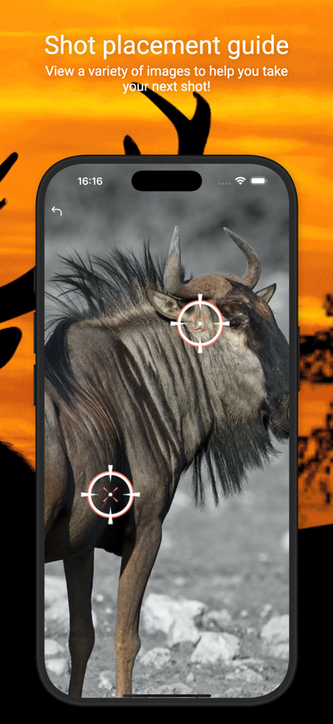 International Hunters - Shot placement guide for a wildebeest showing vital target zones in the International Hunters app