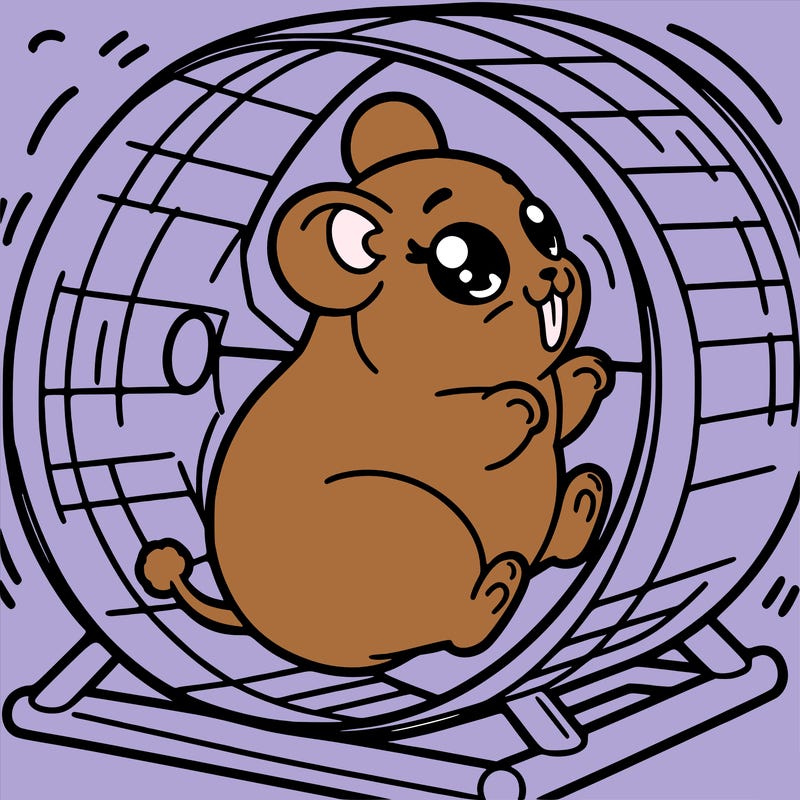 hamster running on her wheel