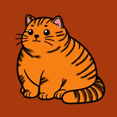 fat chunky cat sitting