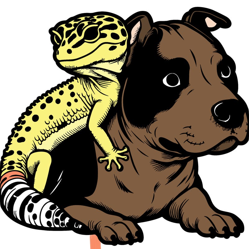 leopard gecko on pitbull head