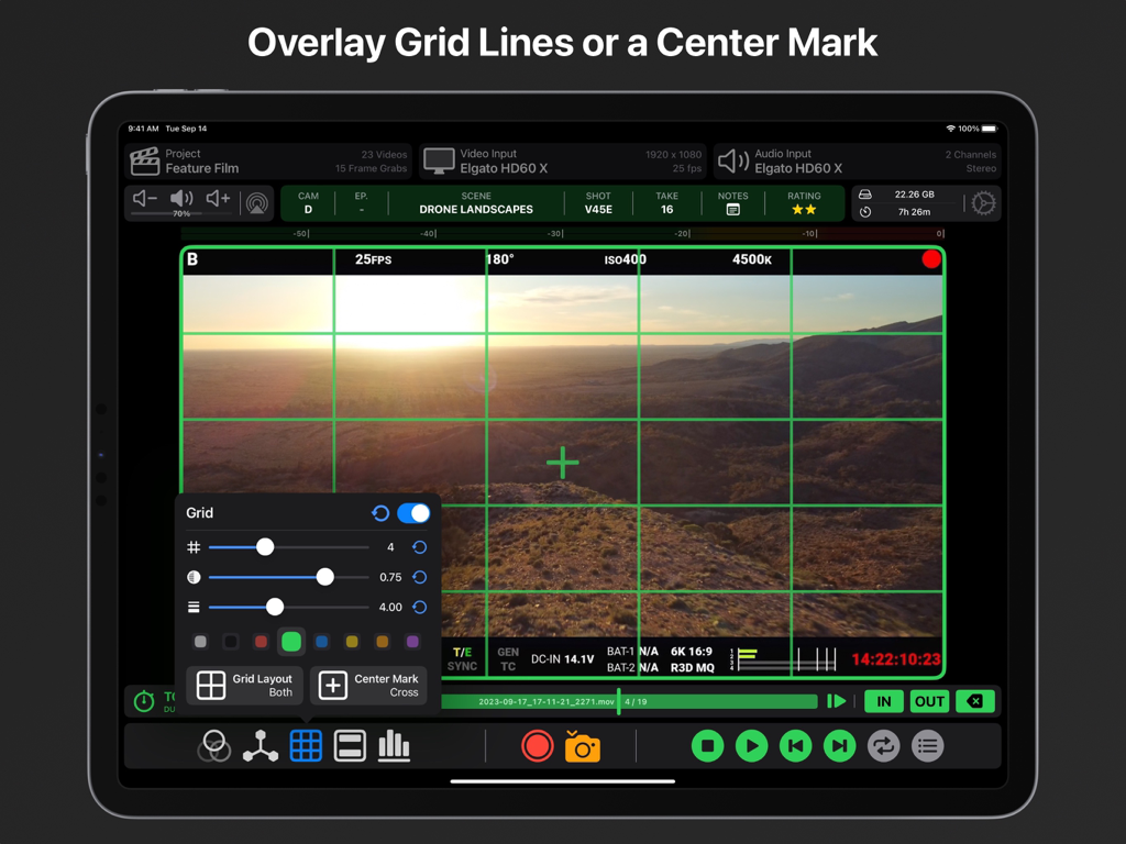 Aplicación Video Assist mostrando líneas de cuadrícula y marcas centrales personalizables en verde en un iPad para composición de video profesional