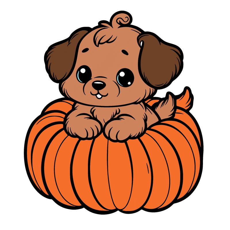 cute little puppy in a pumpkin