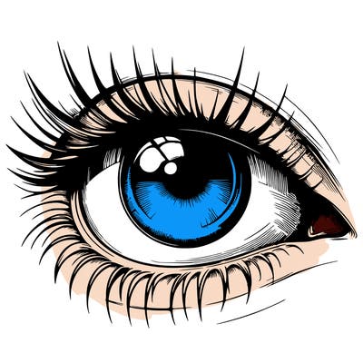 realistic eye