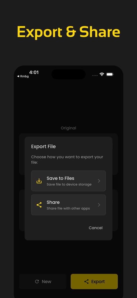 Noise Reducer, PureVoice - Export and share menu in the PureVoice app showing options to save audio files locally or share with other apps.