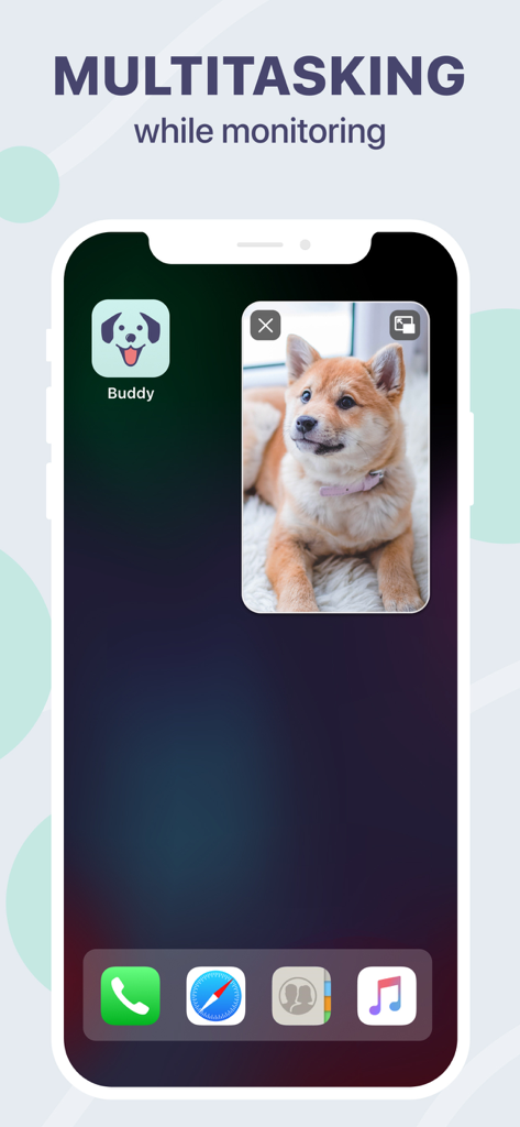 Dog Monitor Buddy & Pet cam - Pantalla de inicio de iPhone que muestra la aplicación Dog Monitor Buddy en modo Imagen en Imagen con un video en vivo de un cachorro de Shiba Inu.