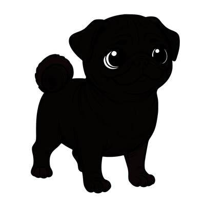pug