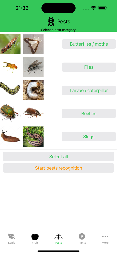 Plant diseases and pests - モバイルアプリのインターフェイス。甲虫、ハエ、ナメクジなどのさまざまな植物害虫のカテゴリが表示されています。