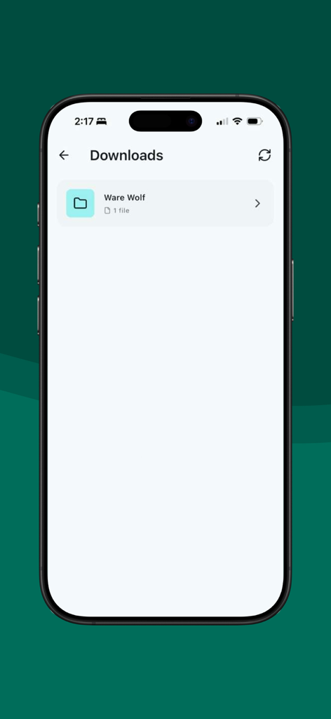 TextKit: Fonts & Status Editor - Captura de pantalla de la aplicación TextKit que muestra la sección de descargas con una carpeta de fuentes guardadas llamada Ware Wolf