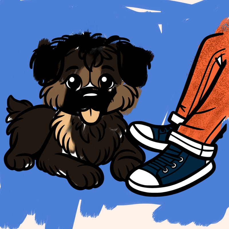 dog laying down with there owner