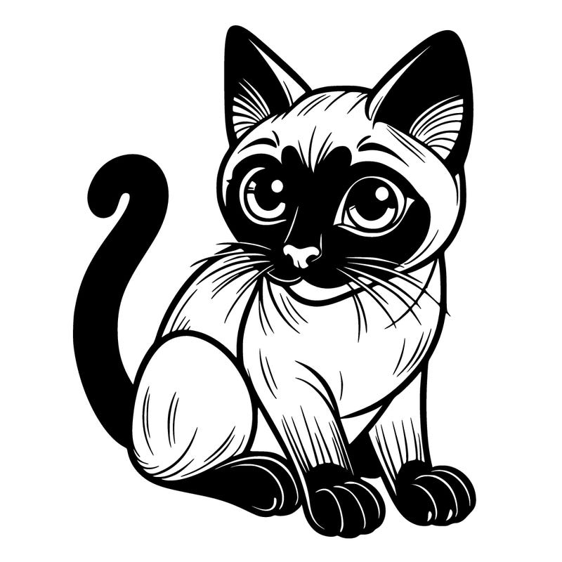 siamese cat