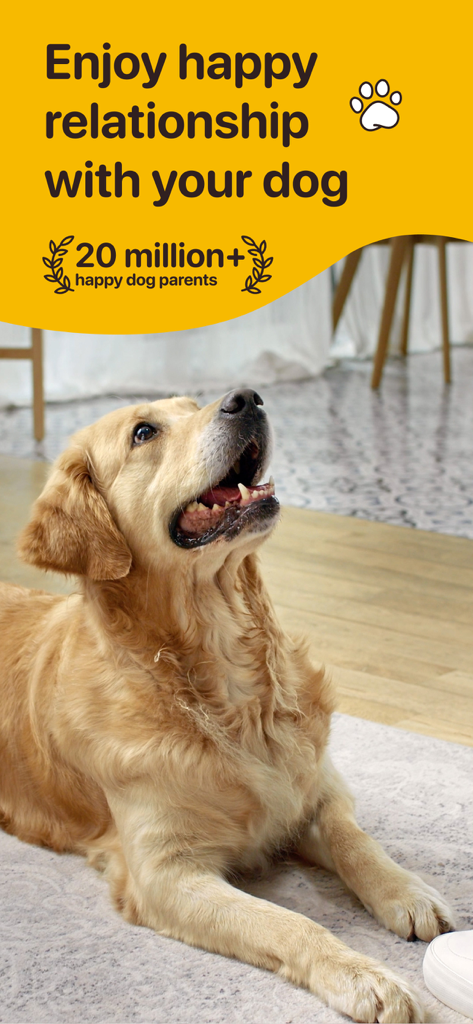Woofz - Puppy and Dog Training - Happy Golden Retriever puppy looking up during a dog training session