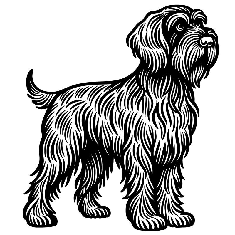 wirehaired pointing griffon dog