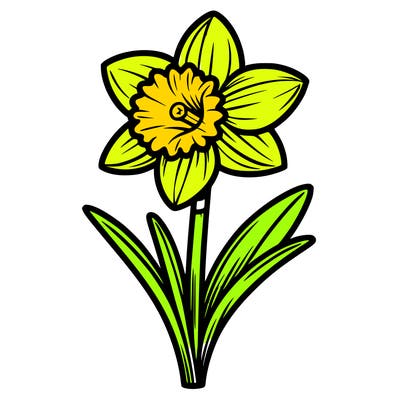 daffodil flower