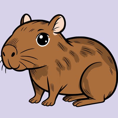 cute capybara