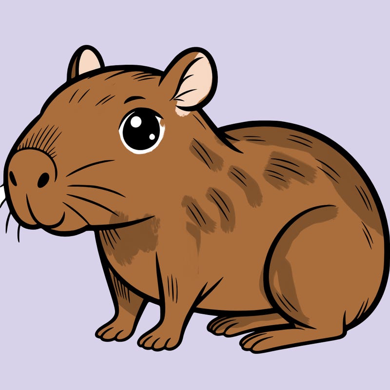 cute capybara