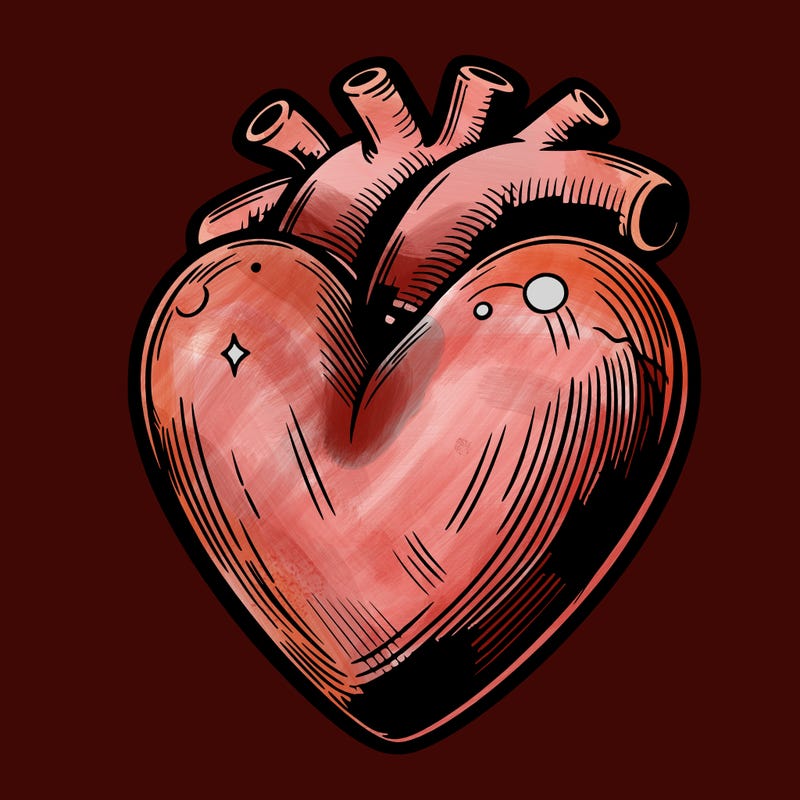 realistic heart