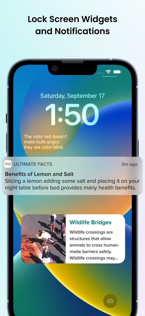 Daily Fun Facts: Did You Know? - iPhone lock screen showing various daily facts through widgets and notifications.