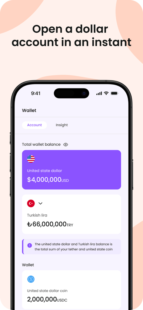 SFx Money App - SFx Money App screen displaying US dollar and Turkish lira balances in a digital wallet.