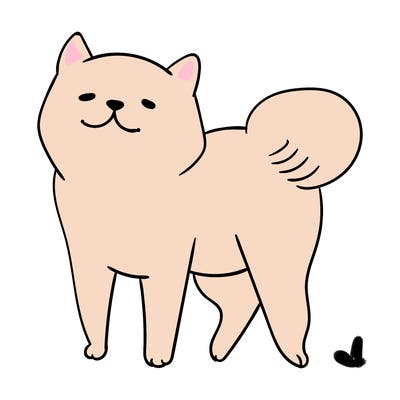 animals_29