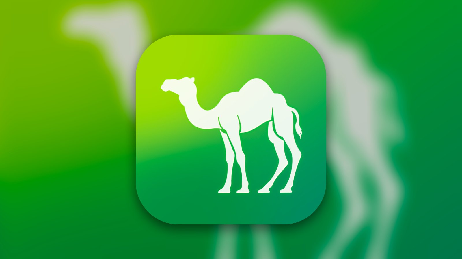 Camel Live - Sports App | MWM
