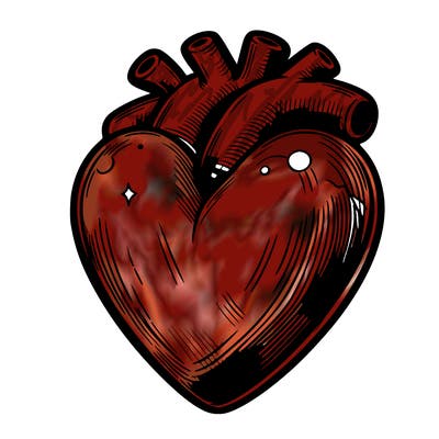 realistic heart