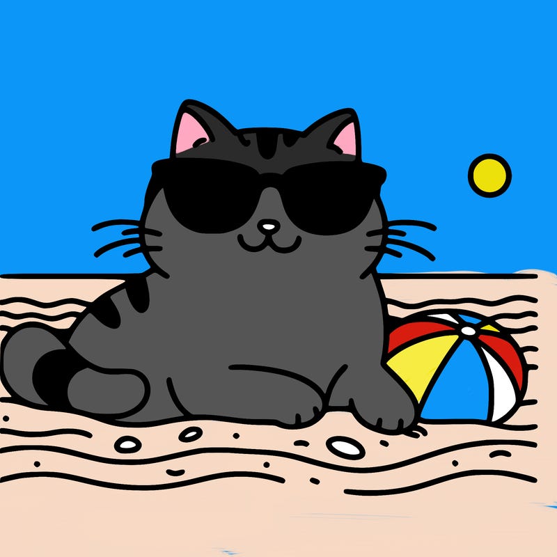 cat with sunglasses on the beach