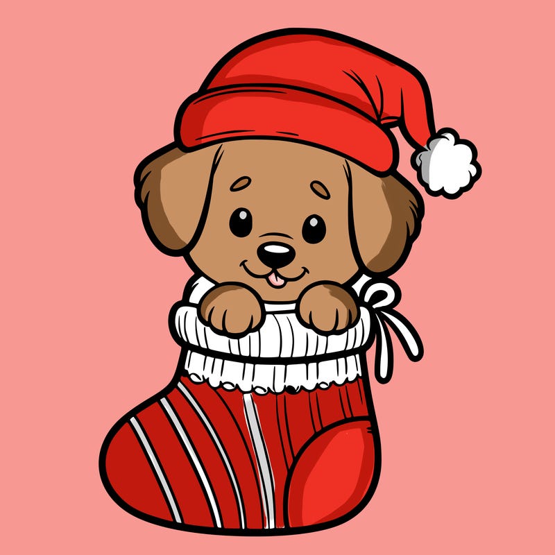 cute puppy wearing santa hat in socking