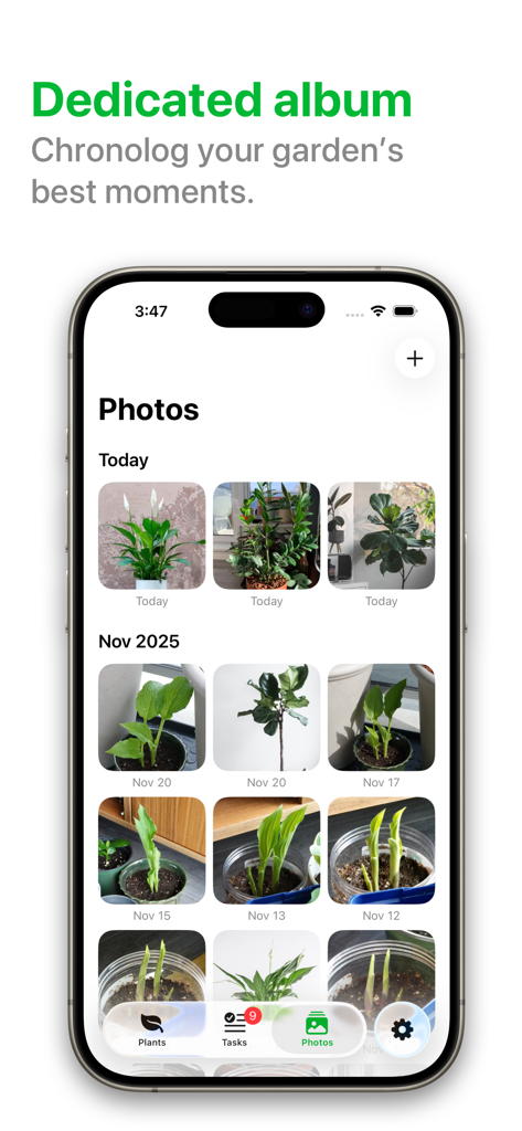 PlantPal: Plant Care - PlantPal app screenshot showing a dedicated photo album for tracking indoor plant growth by date