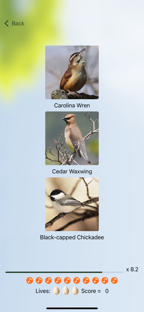 Chirp bird song identification quiz screen featuring North American bird species like the Carolina Wren and Black capped Chickadee