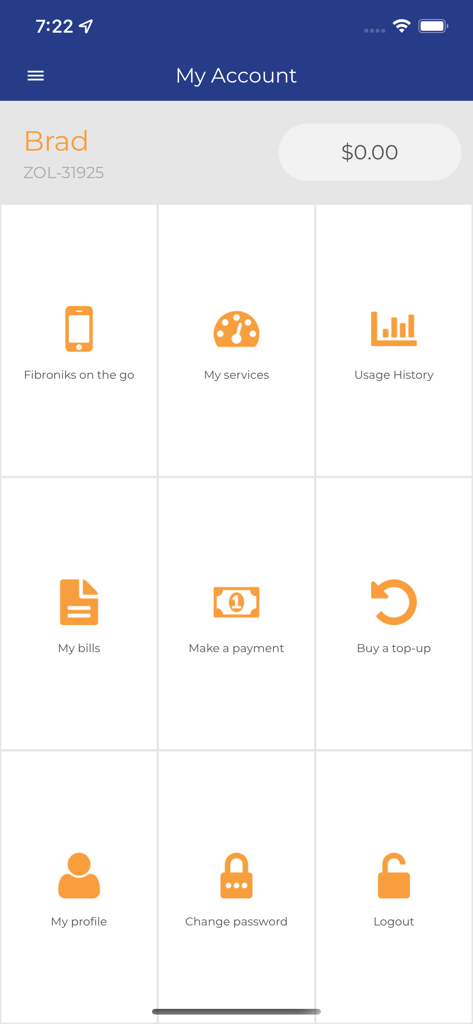 Mein Konto Dashboard der myLiquid Home Zimbabwe App mit Optionen zur Verwaltung von Versorgungsleistungen