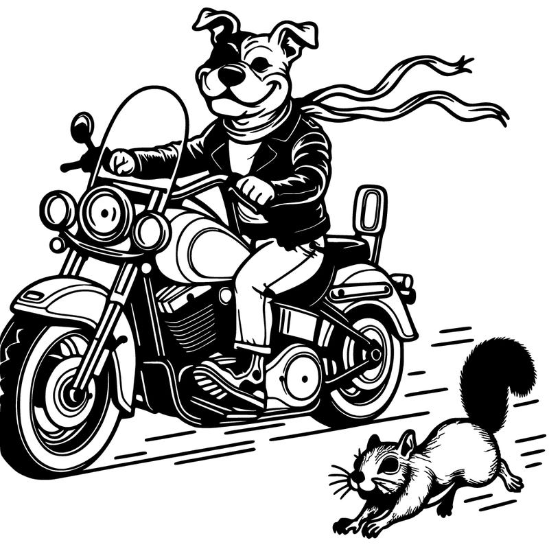dog pi-bull on a harley davison motorcycle with a harley davison leather jacket, leather pants, harley davison helmet, and a squirt running ahead of the bike.