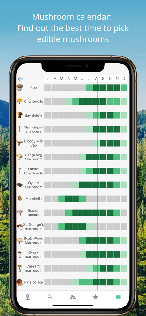 Un écran montrant le calendrier de récolte des champignons pour les espèces comestibles comme la chanterelle et le cèpe