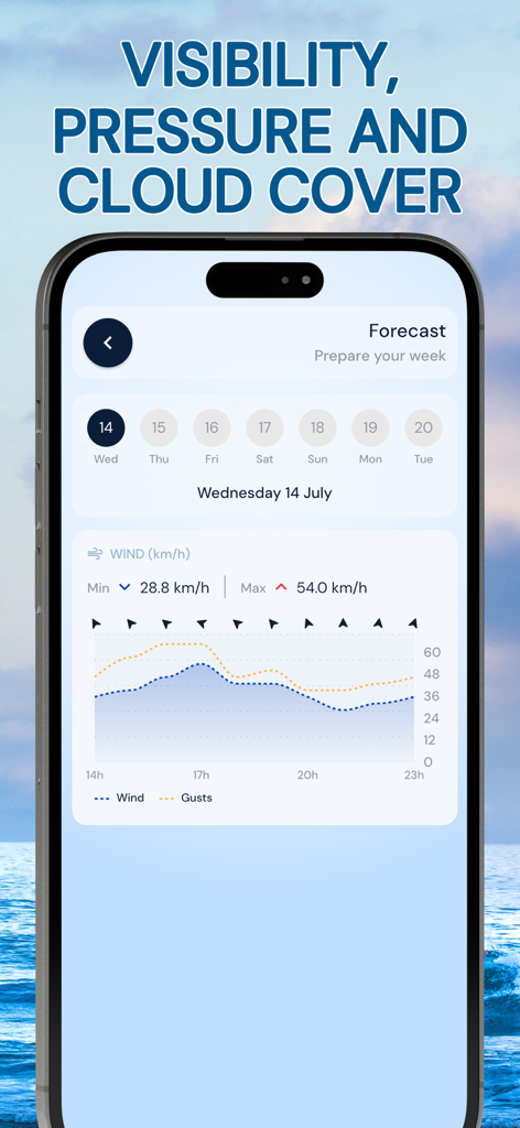 Uma tela de celular mostrando um gráfico detalhado de previsão diária para velocidade do vento e rajadas em km por hora