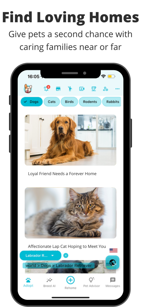 Pets Home: Rehome & Adopt Pets - Pets Home mobile app interface displaying a golden retriever and a fluffy cat available for adoption
