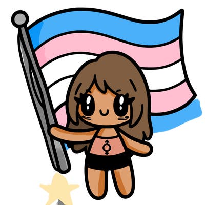 a trans flag