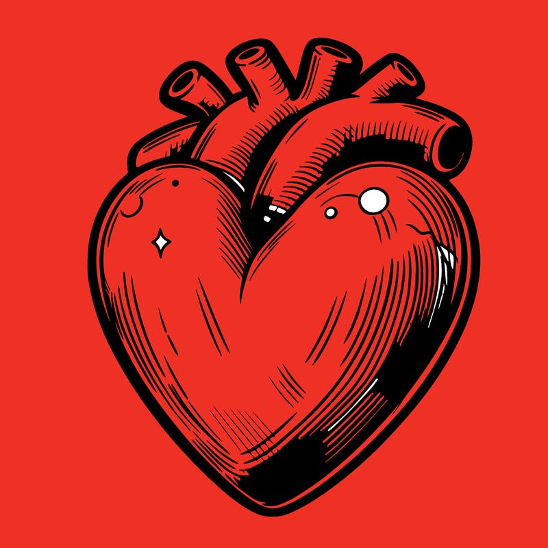 realistic heart
