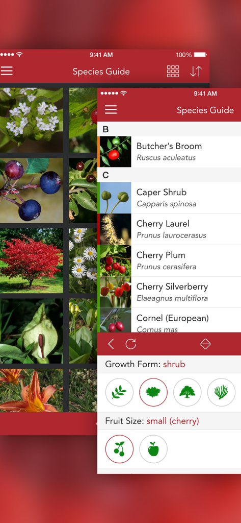 Wild Berries and Herbs 2 PRO - Interfaz de la aplicación Wild Berries and Herbs 2 PRO mostrando una guía de especies y filtros de identificación de plantas