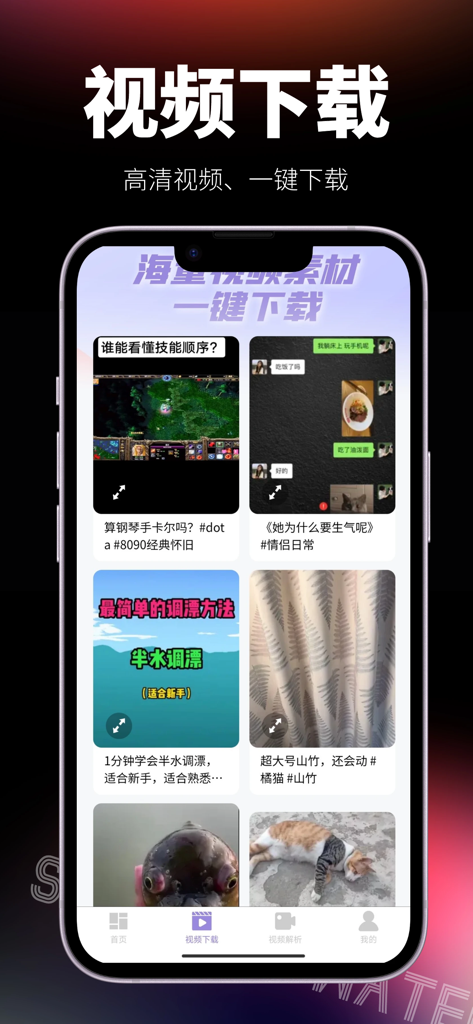 Lightning Watermark app interface for high definition video downloading