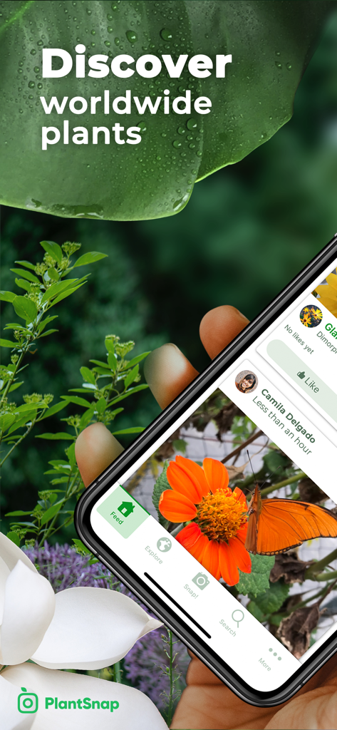Hand hält ein Smartphone, das die PlantSnap Pro App-Oberfläche mit einer orangefarbenen Blume anzeigt