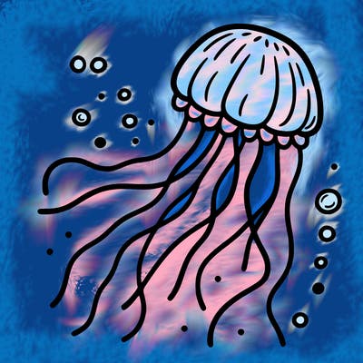 jelly fish
