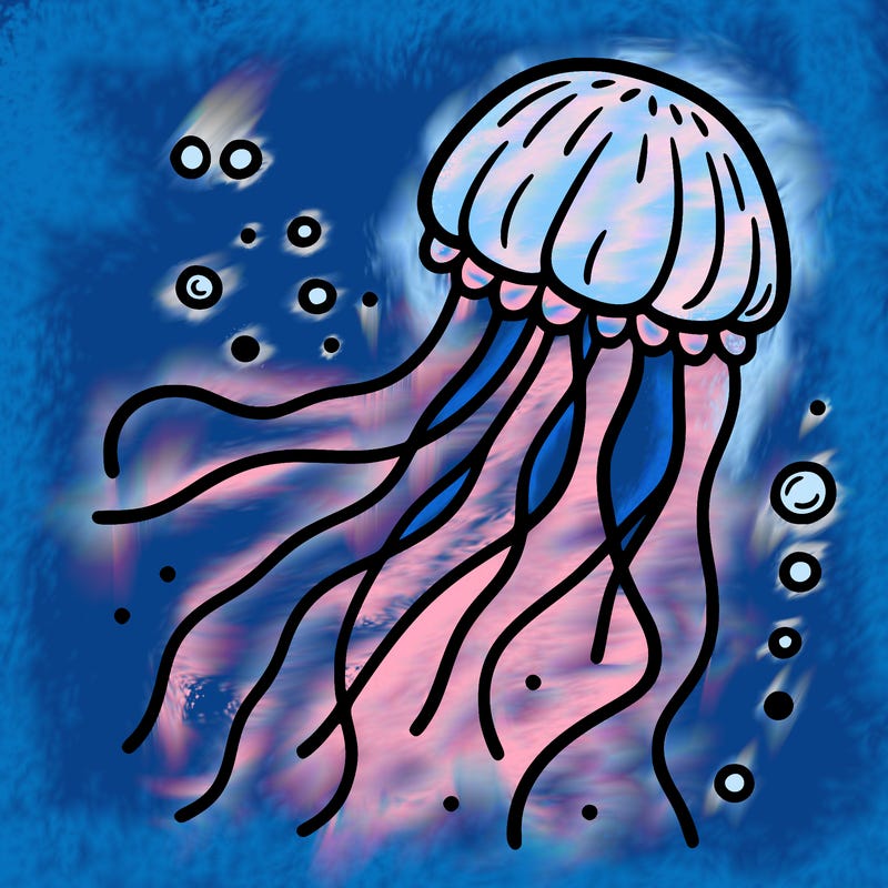 jelly fish