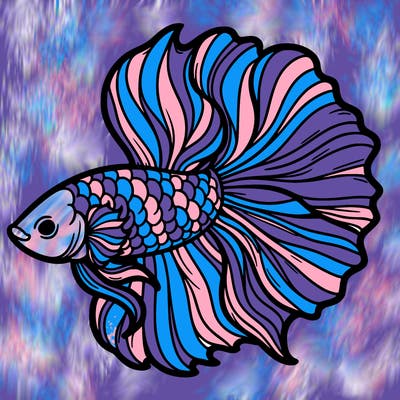 betta fish