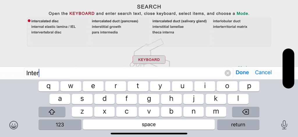Histo! - Suchbildschirm der Histo-App mit einer Tastatur und einer Liste medizinischer Histologie-Begriffe