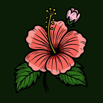 hibiscus flower