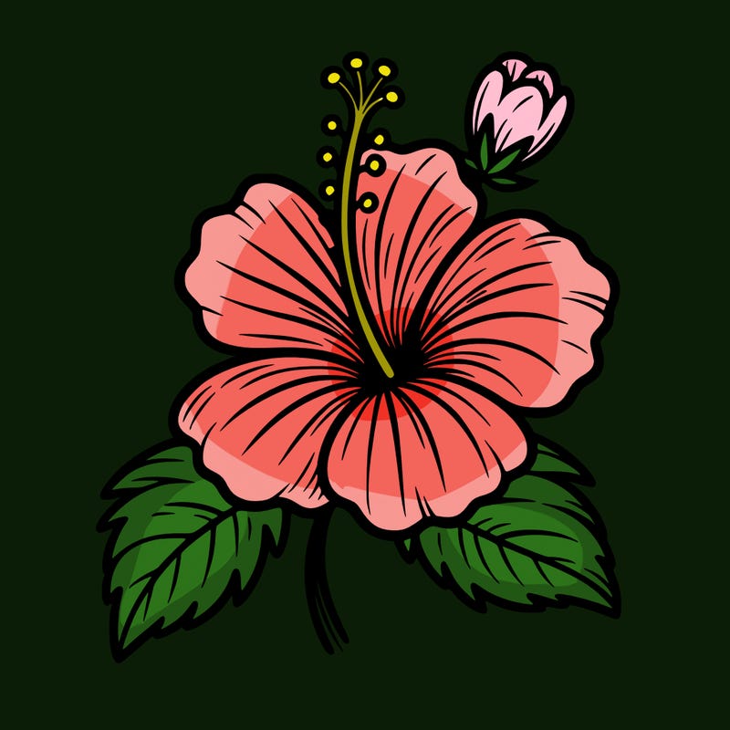 hibiscus flower